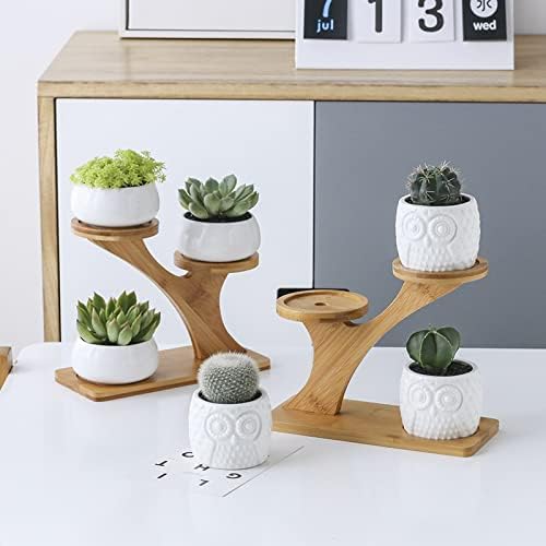 HASMI Plant pots 1 Set Ceramic Owl Garden Pots Pumpkin Flowerpot Nursery Succulent Plant Pot 3 Bonsai Planters with 3-Tier Shelf Flower Pots (Color : 1) - Image 5