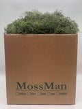 Preserved Spanish Moss Spring Green (9, Pounds) by Unknown