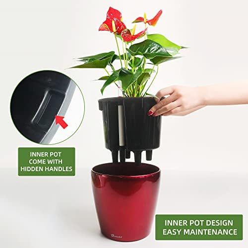 Dexceder 9x8 Self Watering Planter (Red High Gloss) - Image 4