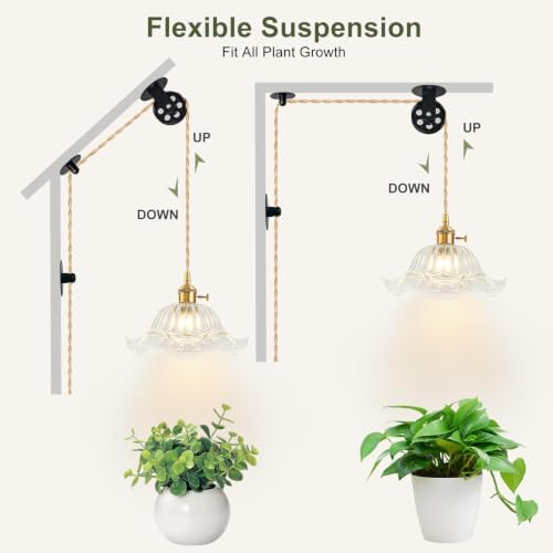 Hanging Grow Lights for Indoor Plants, 12W Full Spectrum 98+ CRI Grow Lamp - Image 7
