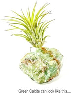 Green Calcite Air Plant Holder with Healthy Live Tillandsia - Raw Crystal Zen Office Decor - Unique Healing Stone Desk Accessory - Includes Gift Box & Care Guide - Heart Chakra Stone - Image 5