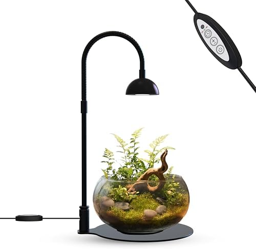 Desktop Grow Lamp Terrarium Light Plant Light on Table with Flexible Gooseneck Lamp for Terrarium Kitchen Vetegable Succulent Lamp with Auto Timer 3/6/12Hrs, 4 Brightness Levels (Black) by BoostGro