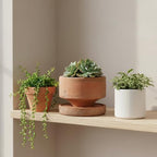Yungyan 2 Set 4.3'' Rustic Terracotta Plant Pot with Drainage Saucer Vintage Breathable Clay Planter Farmhouse Flower Pot Distressed Finish for Flower Succulent Modern Home Garden Decor(Round) - Image 5