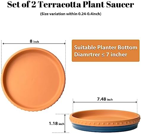 Glazed Terracotta Pot Sets & Saucers Set - Image 5