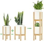 MUDEELA 2 Pack Indoor Plant Stands, 2 Tier Tall Plant Stand 30 inches, Mid Century Bamboo Plant Stand, Adjustable Width 8 - 12 inches, Fits Pot Size of 8 9 10 11 12 inches Pot & Plant Not Included, Natural by MUDEELA