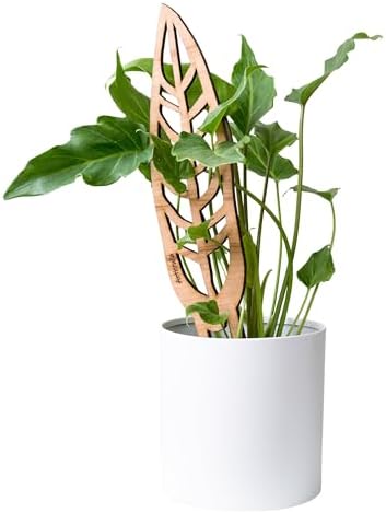 Treleaf Bare™ Anthrulla™ – Customizable Wooden Queen Anthurium Leaf Plant Trellis – Grande Size 24” Indoor Plant Support and Decorative Houseplant Stake for Potted Vines and Climbing Plants by TRELEAF