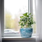 SQOWL Ceramic Pots for Plants - 8 Inch Ceramic Planter for Indoor Outdoor, Decorative Flower Pot with Drainage Hole and Saucer, Round Planter, Home Living Room Bathroom Decor, Plant Lover Gifts, Blue - Image 4