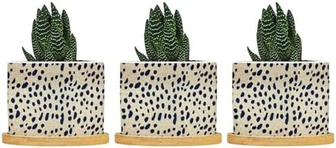Black and Brown Animal Print Planters Ceramic Black Round Plant Pots with Drainage Holes and Bamboo Tray Pot for Succulents Cactus Garden Windowsill by BRUYU5SE
