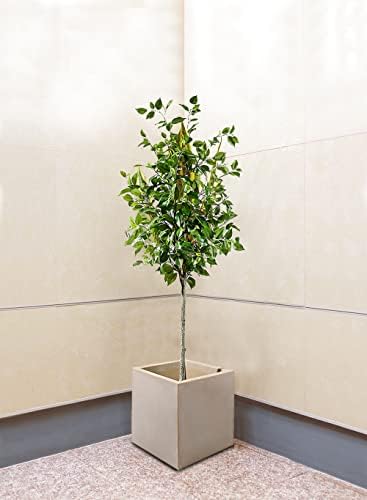 Serene Spaces Living Vintage White Stone-Textured Square Planter Box, Weather-Resistant Poly Resin Plant Box for Indoor/Outdoor Gardening, Window Sills, Balconies, & Decks, 15.25" Square & 15.5" Tall - Image 2