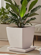 Square Ceramic Plant Saucer Tray 10 11 12 Inch White,12.4" OD x10.8 ID x1.4 Deep| Sturdy Heavy Duty Glazed Planter Drip Flower pots with Catch Basin for Indoor Outdoor Plants(12" White) - Image 6