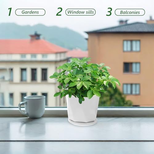 Abaodam Ceramic Succulent Plant Flowerpot Set with Tray Drainage Hole Xmas - Image 4