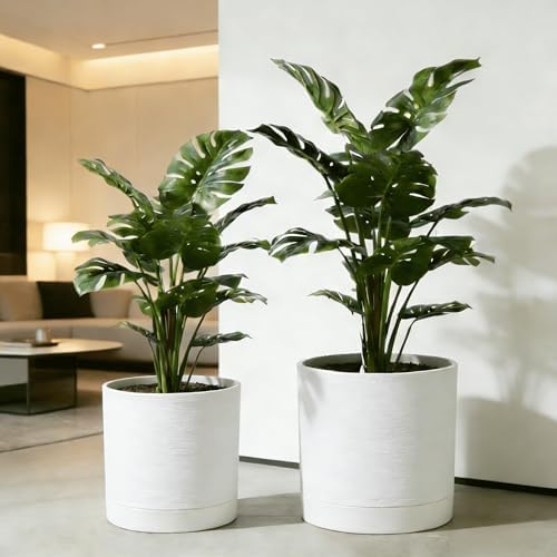 GreenShip Planter Set of 2 (13.8" & 11.8") – Cylinder Planters with Drainage Hole and Planter Saucer, Jun Porcelain Clay & Recycled Resin, Decorate Home,Office & Outdoor,White pots by GreenShipHandmadePots