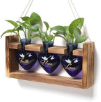 Plant Terrarium Propagation Stations Hydroponics by MTsigns