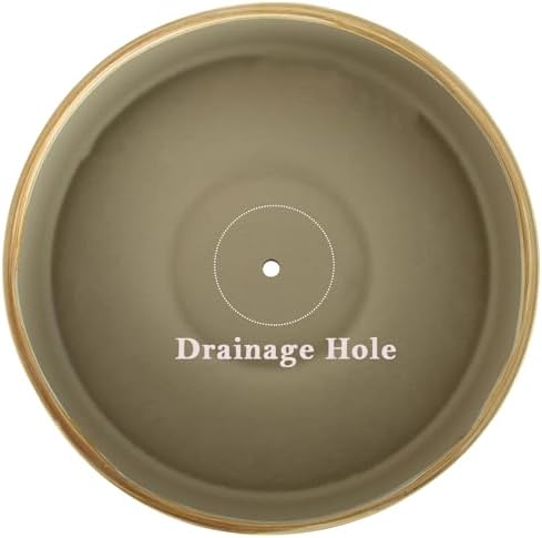 Succulent Pots, 11 Inch Large Plant Pots Ceramic Bonsai Pots with Drainage - Image 4