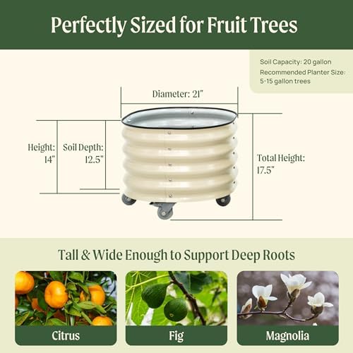 Rolling Metal Citrus Tree Planter Pot, 21″ Round Planter Box for Porch Patio & Backyard, 20 Gallon Large Planter Pot with Wheels for Growing Olive Trees Tomatoes Vegetables and Flowers, Pearl White - Image 3