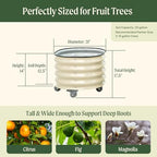 Rolling Metal Citrus Tree Planter Pot, 21″ Round Planter Box for Porch Patio & Backyard, 20 Gallon Large Planter Pot with Wheels for Growing Olive Trees Tomatoes Vegetables and Flowers, Modern Gray - Image 3