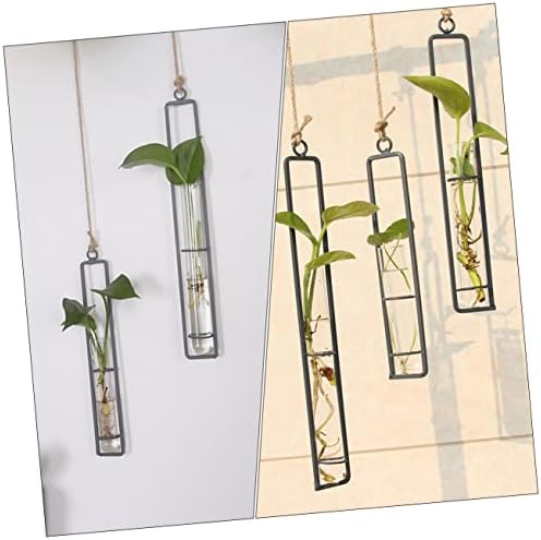 POPETPOP 3pcs Glass Propagation Tubes Wall Hanging Decor - Image 7