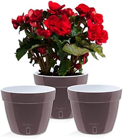 Santino ASTI 10.6 Inch Self Watering Planters Shade/White (Set of 3) for Indoor Plants - Premium Quality Modern Plastic Pot w/Water Level Indicator for All House Plants, African Violets and Dahlias by Smart+Planters