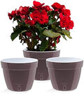 Santino ASTI 10.6 Inch Self Watering Planters Shade/White (Set of 3) for Indoor Plants - Premium Quality Modern Plastic Pot w/Water Level Indicator for All House Plants, African Violets and Dahlias by Smart+Planters