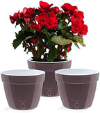 Santino ASTI 10.6 Inch Self Watering Planters Shade/White (Set of 3) for Indoor Plants - Premium Quality Modern Plastic Pot w/Water Level Indicator for All House Plants, African Violets and Dahlias by Smart+Planters