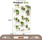 Bamworld White Plant Stand Indoor/Outdoor Ladder Plant Rack, 3 Tiers for 7 Pots, Living Room Boho Decor - Image 5