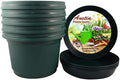 Flower Pots with Saucers, 7 inch, Hunter Green Case of 5 by AustinPlanter