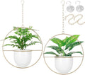 2 Pack Hanging Planter with 5.5" Pot, Metal Hanging Plant Holder by Shineloha