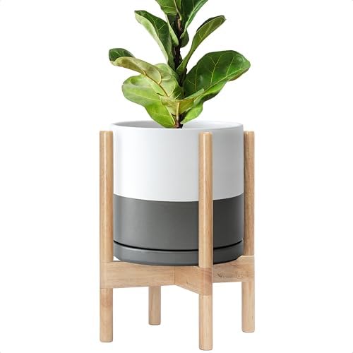 D'vine Dev Ceramic Pot with Natural Wood Stand, White/Grey, 10 in, 55-B-K-6 by DvineDevPlanterPotsandStand