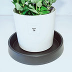 Plant Saucer Tray for Ceramic Plastic Pots, 18 inch Plant Saucers for Indoors, Pot Saucers Trays, Bird Bath Bowls, Flower Planter Water Drip Trays for Pots Base (18", Black) - Image 4