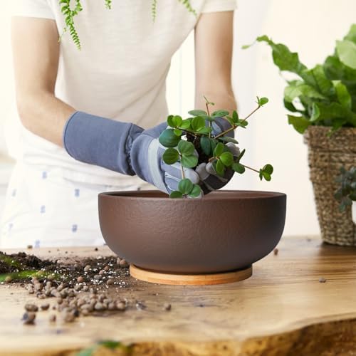 SQOWL 10 Inch Large Terracotta Planter Pot,Clay Succulent Bonsai Planter with Drainage Hole and Bamboo Saucer for Indoor Plants - Image 3