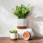 vancasso Ceramic Plant Pots, 4.25+5.25+6.25 Inch Planter Pot with Drainage Hole, Flower Pots for Indoor Outdoor Plants, Set of 3, Khaki - Image 5