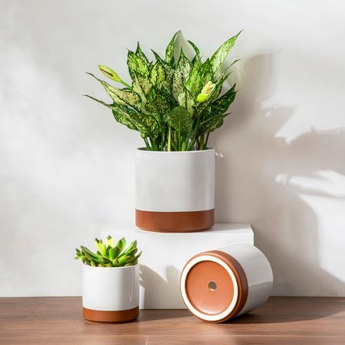vancasso Ceramic Plant Pots, 4.25+5.25+6.25 Inch Planter Pot with Drainage Hole, Flower Pots for Indoor Outdoor Plants, Set of 3, Khaki - Image 5