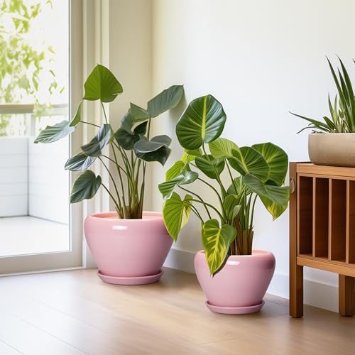 Ceramic Planters, 10+8+6 Inch Ceramic Plant Pots Indoor, Pink - Image 5