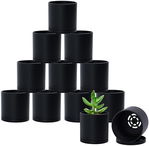 D'vine Dev 12-Pack Black Plastic Planters with Saucers, 3.5 in, 74-Y-D-4 by DvineDevPlanterPotsandStand