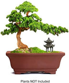 Dahlia 6" L x 4" W Rectangular Zisha Bonsai Planter/Succulent Pot/Flower Pot, Brown - Image 3