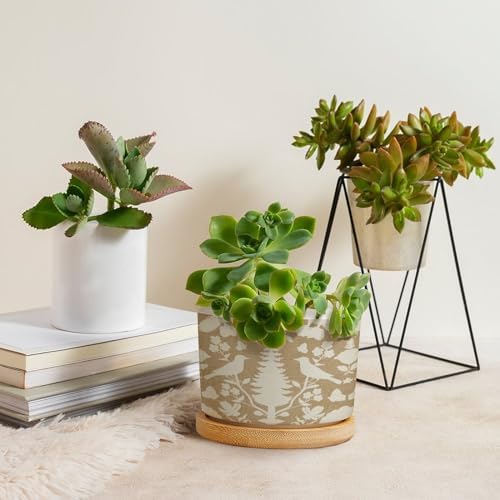 Chenonceau Birds and Botanicals Marine Planter Ceramic Chinoiserie White Bird Floral Round Plant Pot with Drainage Holes and Bamboo Tray Pot for Indoor Outdoor Garden - Image 4