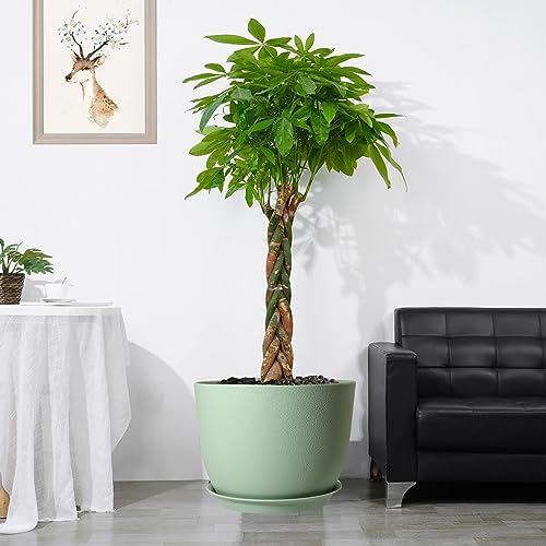 UOUZ 12/10/9 Large Modern Plant Pots, Plastic Planters with Drainage Holes and Saucers for Indoor Outdoor Plants Flowers, Green - Image 7