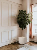 Serene Spaces Living Vintage White Stone-Textured Square Planter Box, Weather-Resistant Poly Resin Plant Box for Indoor/Outdoor Gardening, Window Sills, Balconies, & Decks, 15.25" Square & 15.5" Tall - Image 3