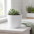 KINJOEK 4 Packs 7 Inch Self Watering Planter with Water Level Indicator, Modern Garden Decorative White Flower Pot for House Plants, Flowers, African Violets, Succulents, White - Image 6