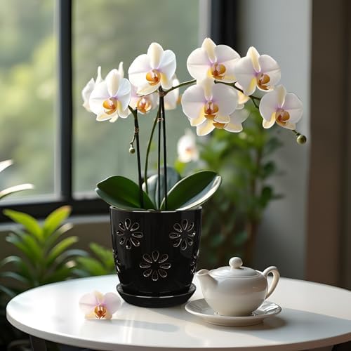 Oairse 6 inch Orchid Pots with Holes, Black Ceramic Orchid Pot for Repotting Small Indoor Plant Pots with Drainage Holes and Saucers Decorative Flower Planter for Orchids, Indoor Plant - Image 5