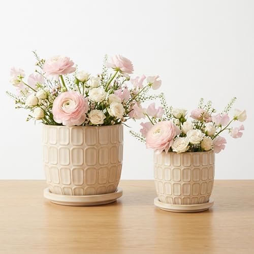 Decorative Flower Planter with Squoval Pattern and Saucer Plate - Home Decor Plant Pots for Indoor and Outdoor Styling - Perfect Plant Pots Accent for Plant Stand Indoor - Set of 2, 7", 6", Ivory by NESSANDJORD