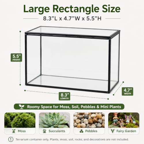 Glass Plant Terrarium with Lid, Rectangular Black Metal Frame Box for Indoor Plants, Clear Glass Container for Moss, Succulent, Fairy Garden, Tabletop Decor DIY Gift, 8.3”L x 4.7”W x 5.5”H - Image 4