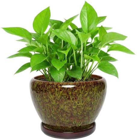 Ceramic Planter with Saucer (Speckled Green, 8.7 Inch) by Unknown