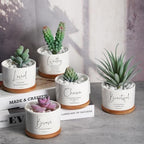 Fumete 12 Sets Bible Verse Succulent Pots 3 x 2 in, Affirmation Series - Image 3
