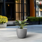 Kante Round Concrete Planter, Large Outdoor Indoor Garden Pots with Drainage Hole, 14-Inch Diameter Flower Pots for Patio, Garden and Home, Gray - Image 4