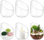 6 Pcs Clear Glass Air Plant Terrarium, 5 Inch Clear Glass Round Vases Succulent Cactus Plant Vase Plant Terrarium for Home Decor by INTERWARM