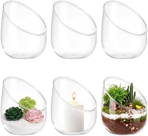 6 Pcs Clear Glass Air Plant Terrarium, 5 Inch Clear Glass Round Vases Succulent Cactus Plant Vase Plant Terrarium for Home Decor by INTERWARM