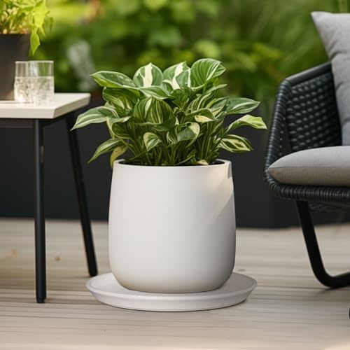Plant Water Catcher Trays - Ceramic Plant Saucers 12 Inch Plant Trays for Indoors No Holes Plant Drip Trays Drainage Decorative Flower Pot Saucers Large Plant Dishes 2 Pack White - Image 5