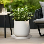 Plant Water Catcher Trays - Ceramic Plant Saucers 12 Inch Plant Trays for Indoors No Holes Plant Drip Trays Drainage Decorative Flower Pot Saucers Large Plant Dishes 2 Pack White - Image 5