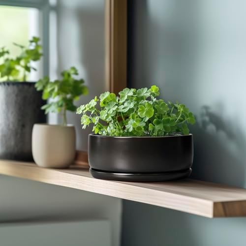 SQOWL Bonsai Pots - 8 Inch Ceramic Plant Pots for Succulents, Round Indoor Planter with Drainage Hole and Saucer, Shallow Modern Planter Bowl, Room Decor, Black - Image 5